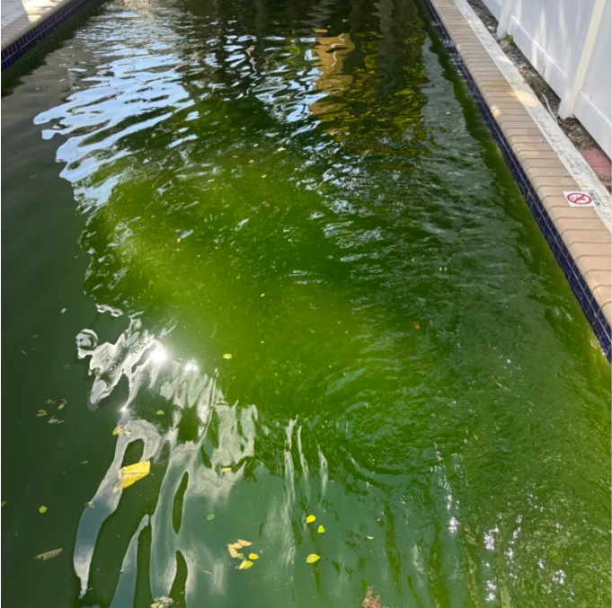 6 - antes e depois 01